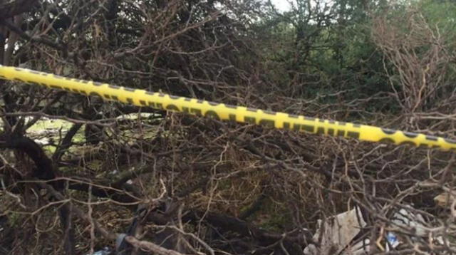 En estos matorrales fue hallado el Niño Sicario