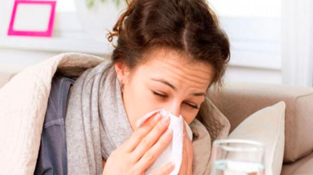 Las alergias aparecen cuando el sistema inmunitario reacciona ante una sustancia extraña como puede ser el polen o los ácaros