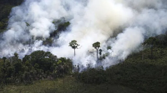 Si los incendios no cesan, a largo plazo la geografía del Amazonas cambiaría drásticamente Si los incendios no cesan, a largo plazo la geografía del Amazonas cambiaría drásticamente