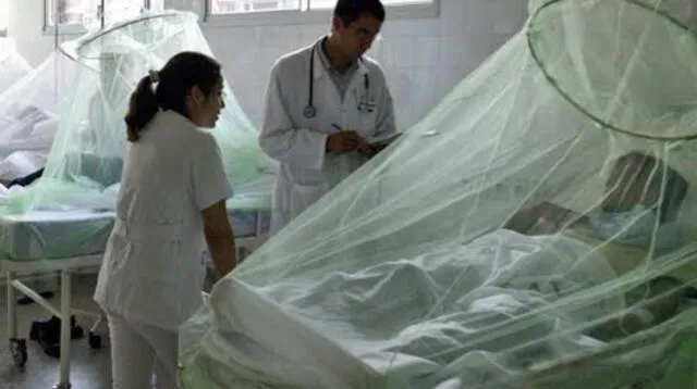 Ministerio de Salud ha identificado más de 3 mil casos de dengue en todo el Perú. 