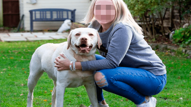 Perrito se ha convertido en pieza clave en la vida de Lucy