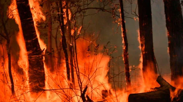 Fuego sin control arrasa la costa de Australia