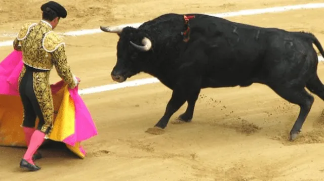 Las corridas de toros es considerada por parte de la sociedad como una tradición