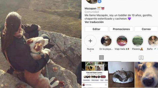 Instagram: Perrito famoso comparte aventuras junto a su dueña 