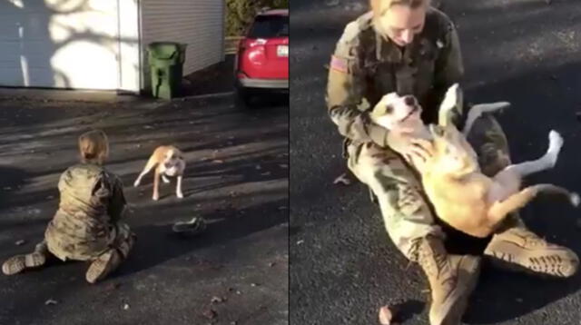 Reencuentro de dueña y perro se vuelve viral en Facebook