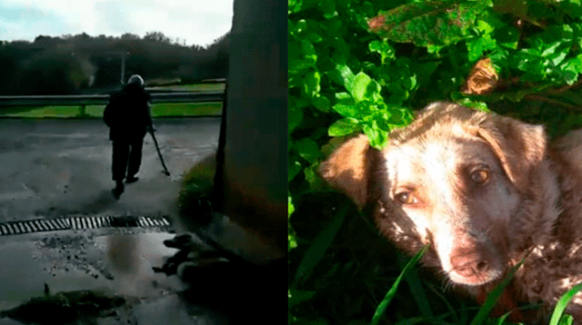 “Soy cazador y disparo a quien se me dé la gana”, indicó el sujeto que disparó a su mascota