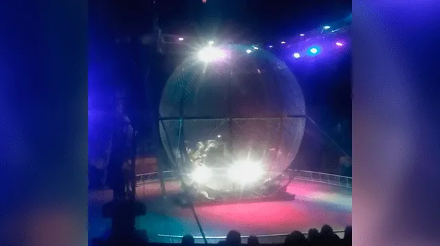 Dos conductores terminaron en un violento choque en el circo ruso