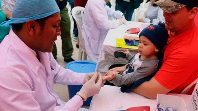 Las visitas domiciliarias son para controlar la anemia en los niños