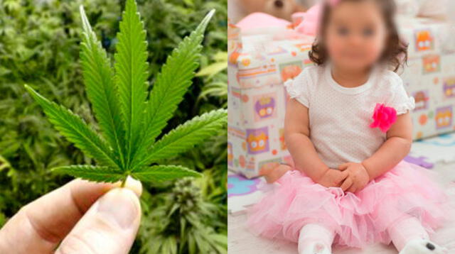 Menor consumió marihuana al interior de su hogar 