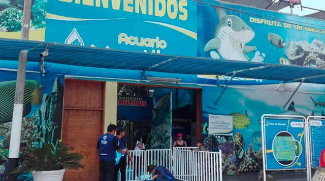 Acuario Nautilus fue clausurado por no cumplir con las medidas de seguridad correspondientes a la municipalidad de Comas