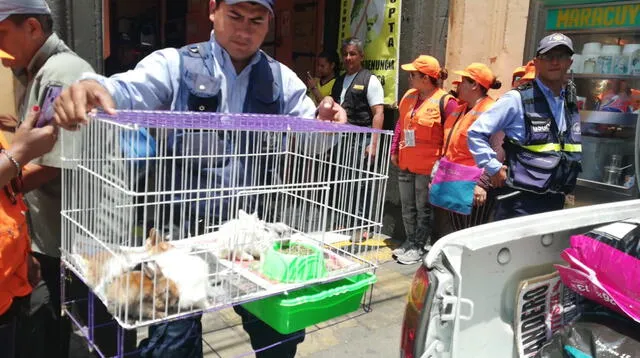 Personal rescató perros, conejos y hámster que iban a ser vendidos de manera ilegal