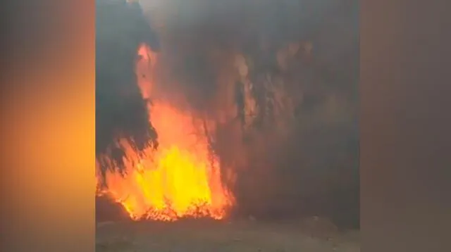 Fuerte incendio fortestal se registra en la Urbanización Santa Rosa en San Juan de Miraflores.