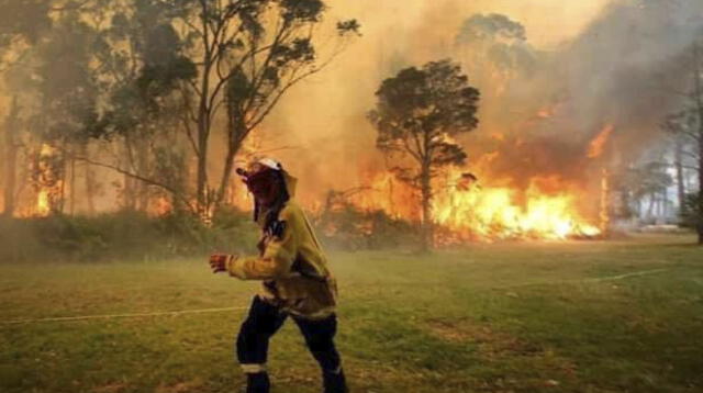 Australia se encuentra en estado de emergencia por constantes incendios [VIDEOS]