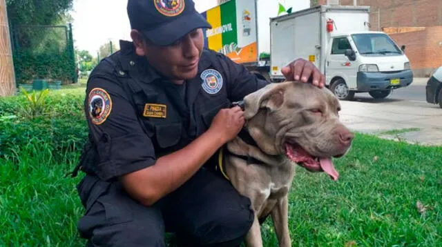 La perrita se muestra dócil con su instructor