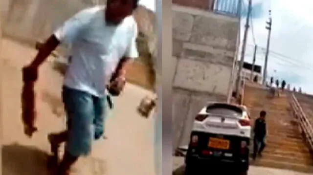 Sujeto ebrio mata a gato a golpes Sujeto ebrio mata a gato a golpes