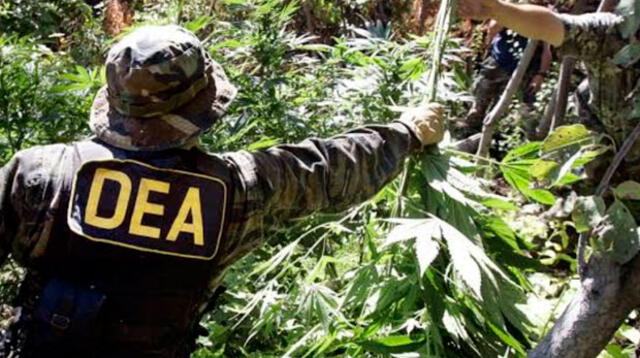 Bolivia no quiere a la DEA en su país