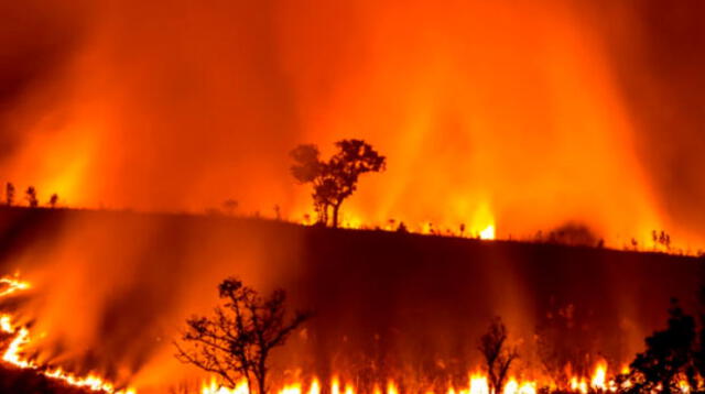 Además, se conoció que el humo ingresó a Uruguay y podría estar en Brasil