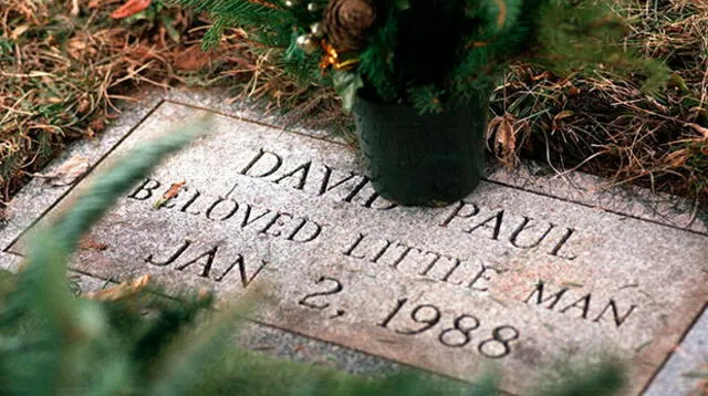 David Paul fue encontrado congelado en la base de un árbol de un estacionamiento en enero de 1988