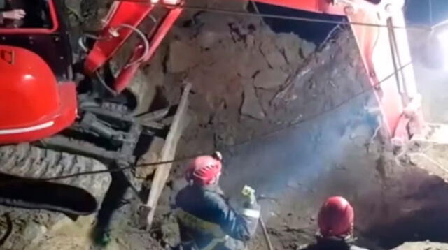 Los canes fueron rescatados de un viejo tunel gracias al arduo trabajo de bomberos, topógrafos y zapadores