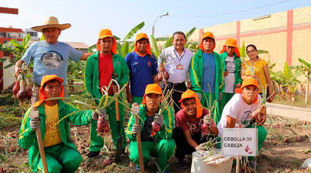 Jóvenes con discapacidad cosechan sus primeros frutos y hortalizas