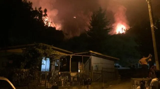 Las llamas arrasaron unas 451 hectáreas del Cerro Manquimavida