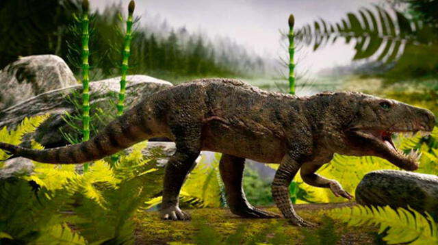 Dinosaurio de una especia extraña ha sido encontrado en Brasil