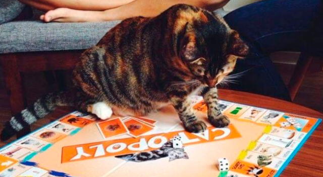 Cat Opoly es el nuevo juego creado para los amantes de los gatos