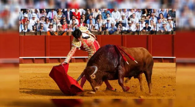 Paro unos, la tauromaquia es un arte; para otros, un espectáculo cruel.