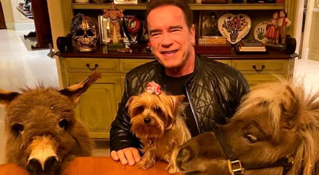 Arnol Schwarzenegger  publica a su nueva mascota.