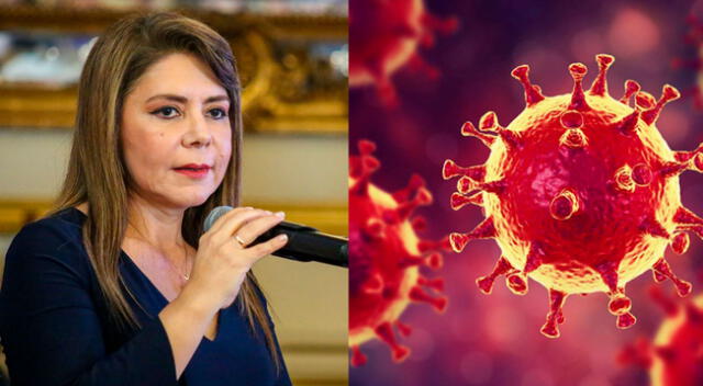 Ministra de Salud aseguró que hasta el momento no hay ningún caso de coronavirus en el Perú.