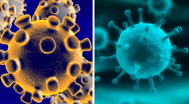 El primer caso de COVID -19 llegó a Perú y muchos confundieron este virus con la gripe.