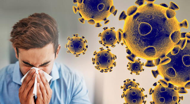 Coronavirus afectaría el sistema nervioso y causaria encefalitis