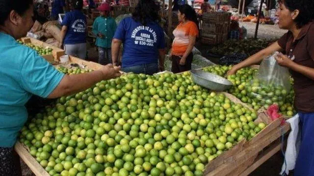 Se ha recibido 1200 toneladas de limón llegados del norte del país.