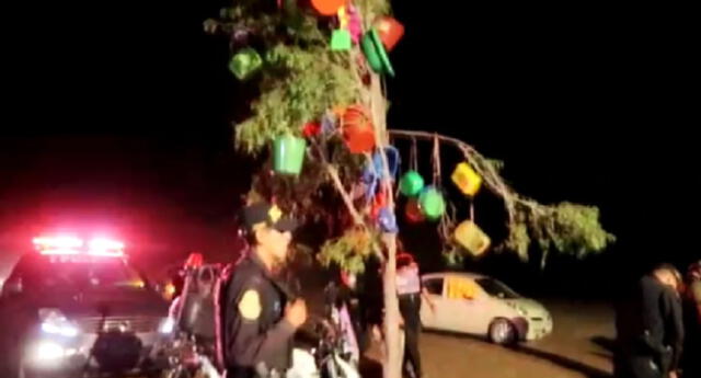 Árbol fue tumbado para que otras personas no vuelvan a usar.