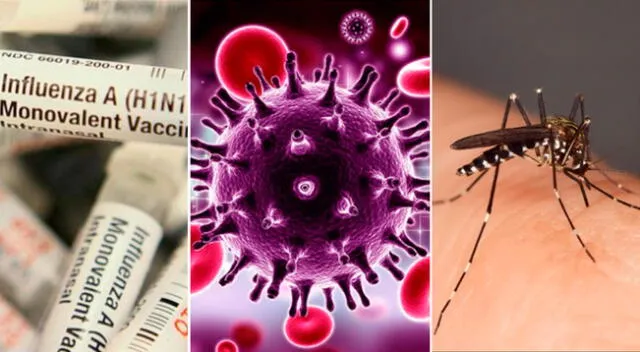 De izq. a der.: H1N1, VIH y  mosquito del dengue
