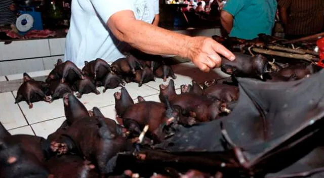 Siguen vendiendo murciélagos en mercados de China