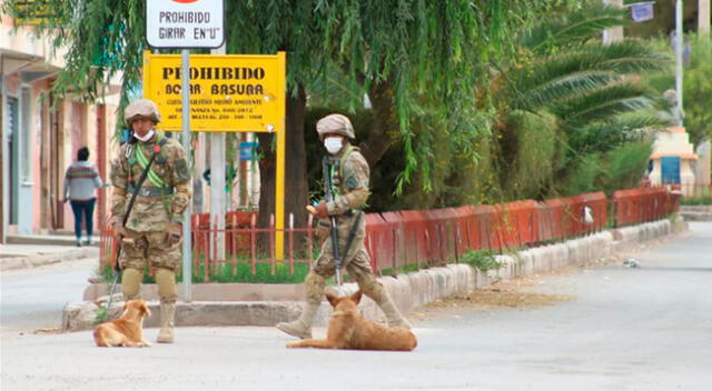 Soldados encontraron a varios perros que estaban a su suerte en Tupiza.