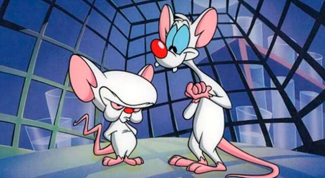 ‘Pinky y Cerebro’ y ‘Animaniacs’ regresarían a la TV.