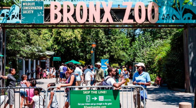El zoológico del Bronx ha estado cerrado desde el 16 de marzo.