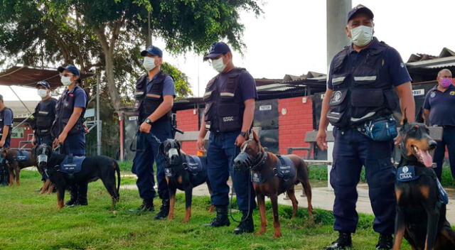 Brigada canina de la MML