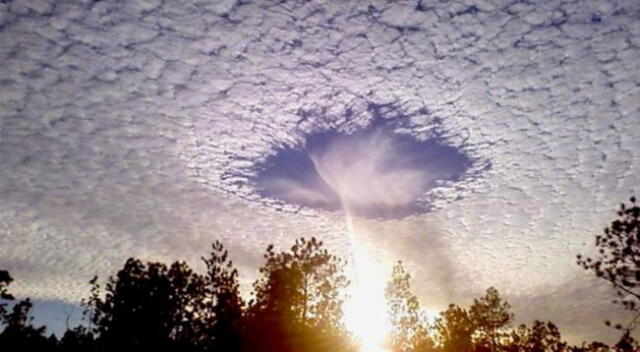 Los cielomotos se han reportado en Estados Unidos, América del Sur y Australia.