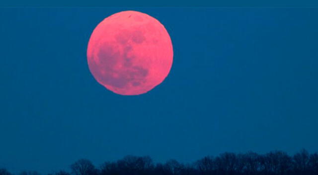 Sigue todas las incidencias de la Superluna rosa que podrá ser vista este martes 7 y miércoles 8 de abril.