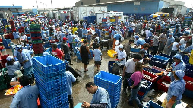 Municipalidad del Callao  cerró el terminal pesquero de Ventanilla.