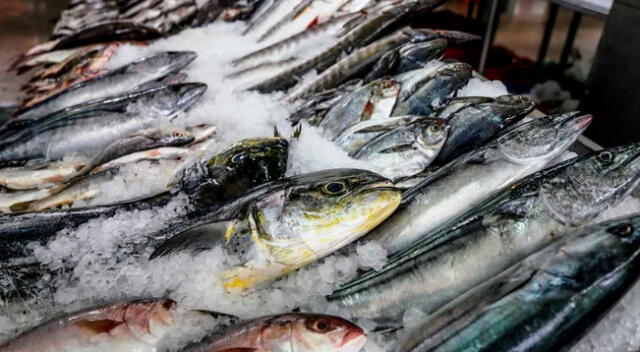 Pescado se come por Semana Santa.