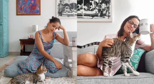 Melania Urbina sobre su cuarentena: “Estoy sola y rodeada de un montón de gatos”