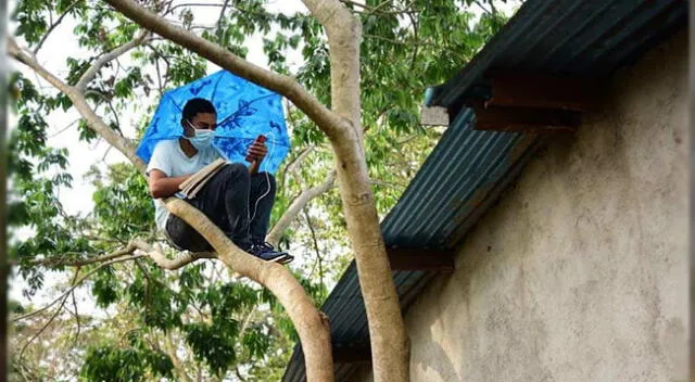 El presidente de El Salvador, Nayib Bukele, felicitó al estudiante por su esfuerzo.