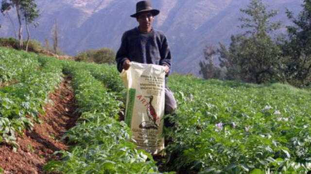 El bono rural de 760 soles es un subsidio monetario que el Gobierno entregará a familias que vivan en zonas alejadas de las ciudades del territorio peruano.