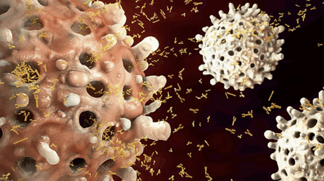 El organismo tarda semanas en crear efectivos anticuerpos para combatir el coronavirus, señala el especialista.