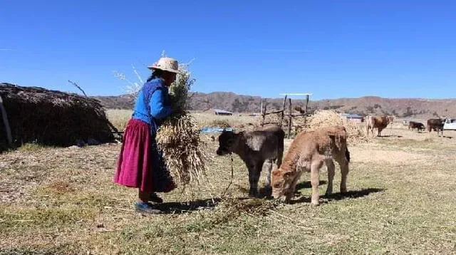 Bono rural de 760 soles: Conoce cómo acceder al subsidio monetario para zonas de vulnerabilidad.