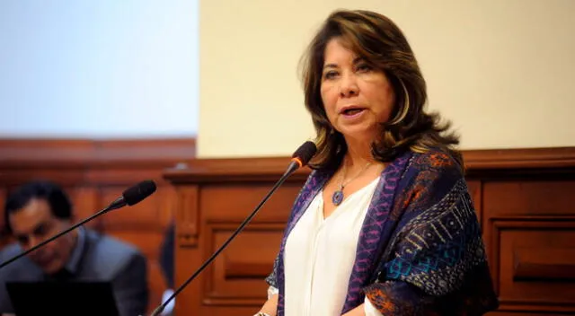 fue elegida junto a Zenaida Solís Ávalos del Partido Morado como vicepresidenta y el congresista de Somos Perú Mariano Yupanqui Miñano como secretario de la comisión.